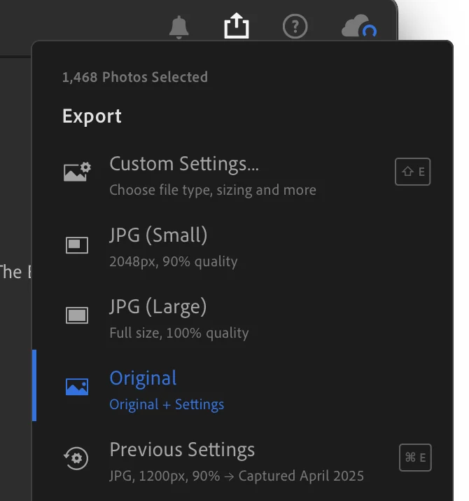 Select the export type in Lightroom
