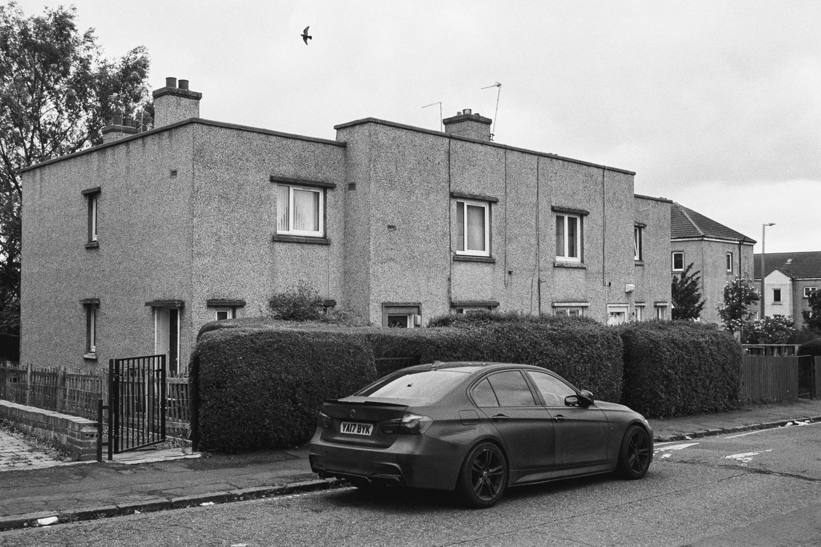 A dark saloon car parked outside a row of pebble-dashed houses behind a hedge, a bird flying overhead