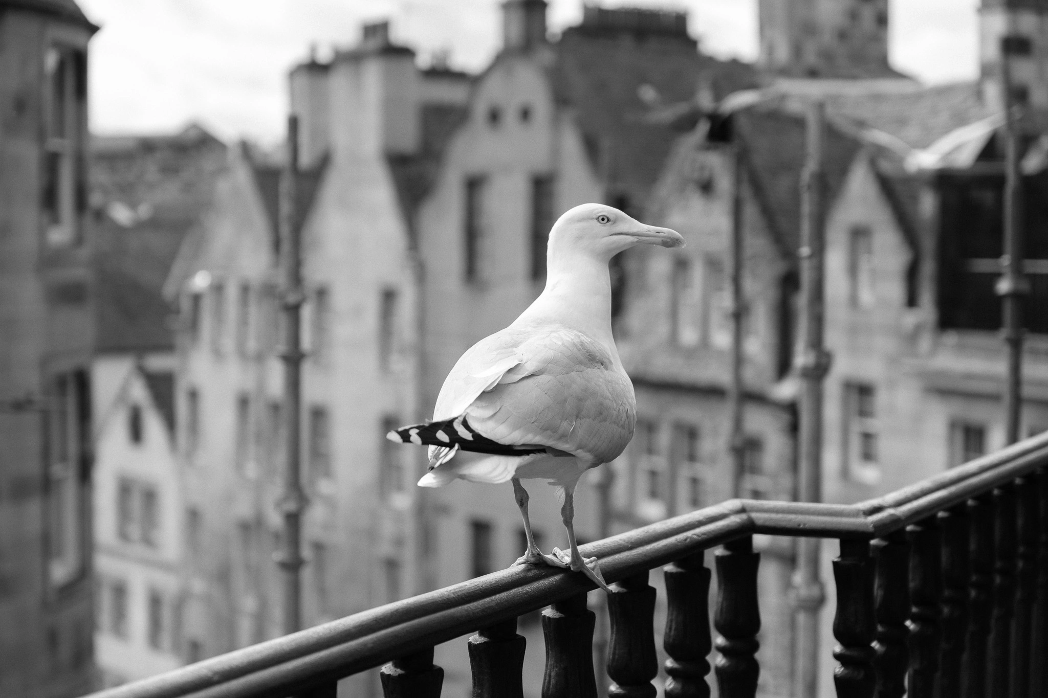 Sample image with the Fujifilm XF16-55mm F2.8 R LM WR II