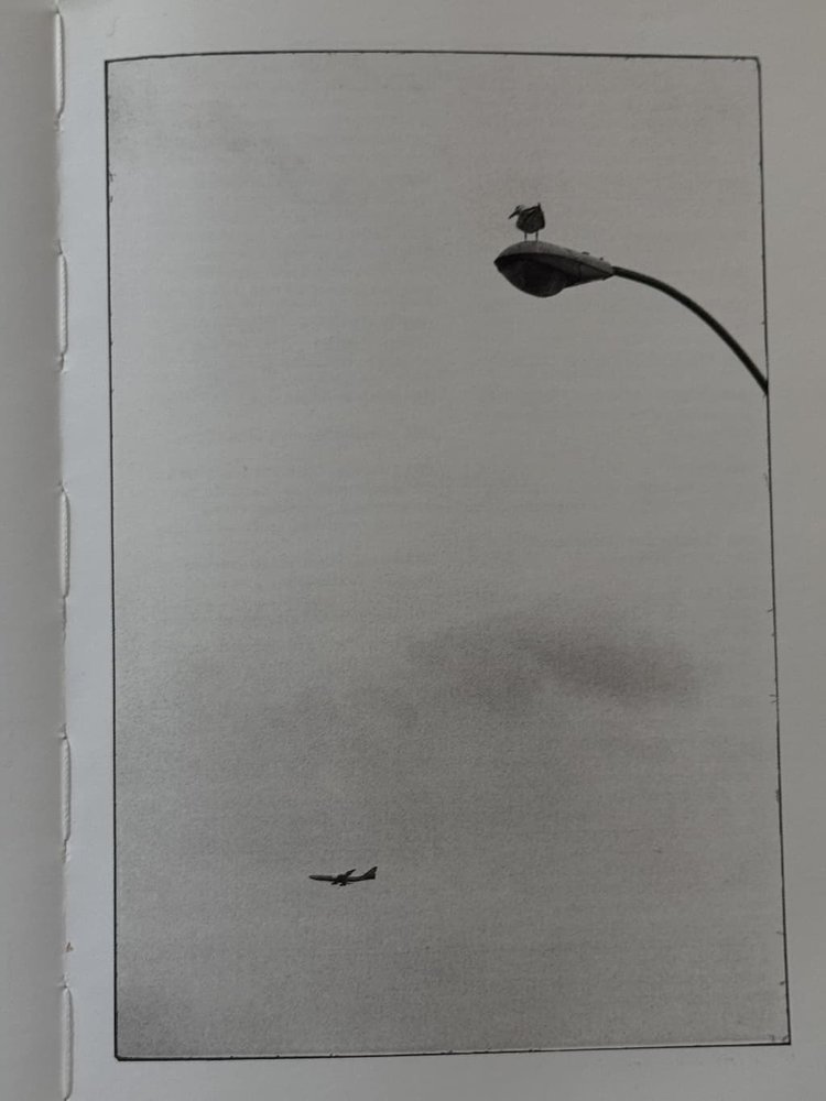 Elliott Erwitt book spread 04