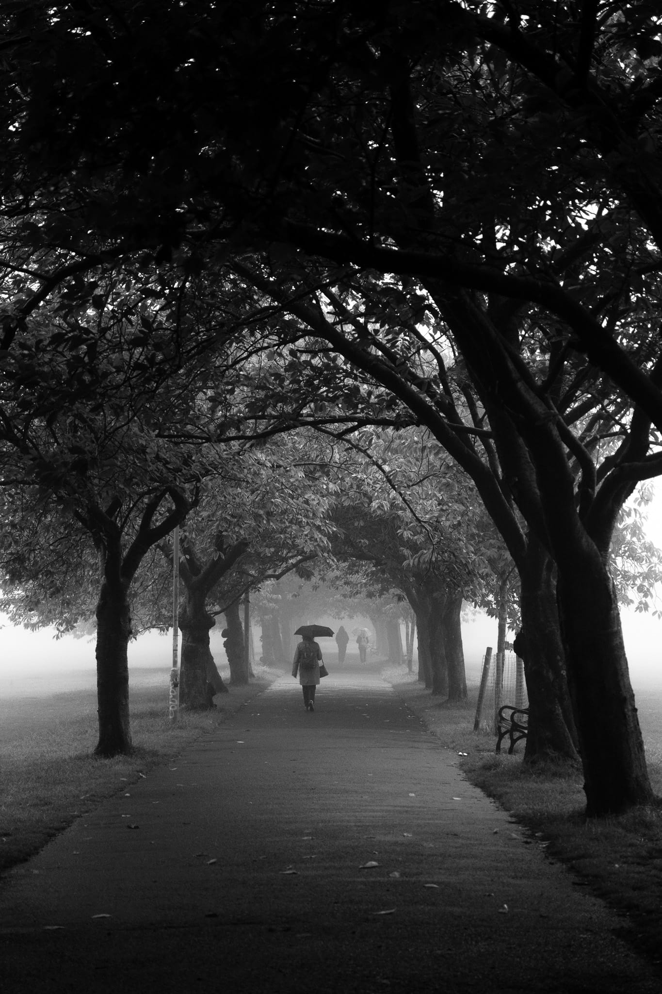 Scene from within the haar