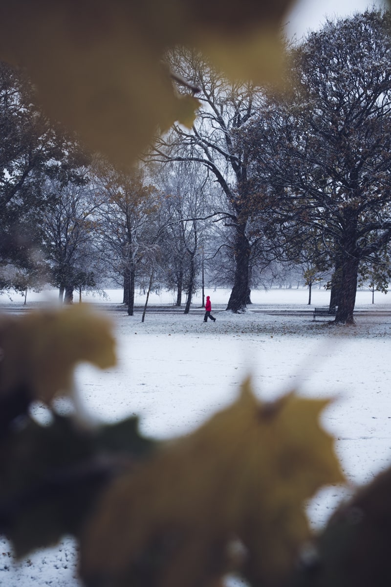 Snow scenes in Edinburgh