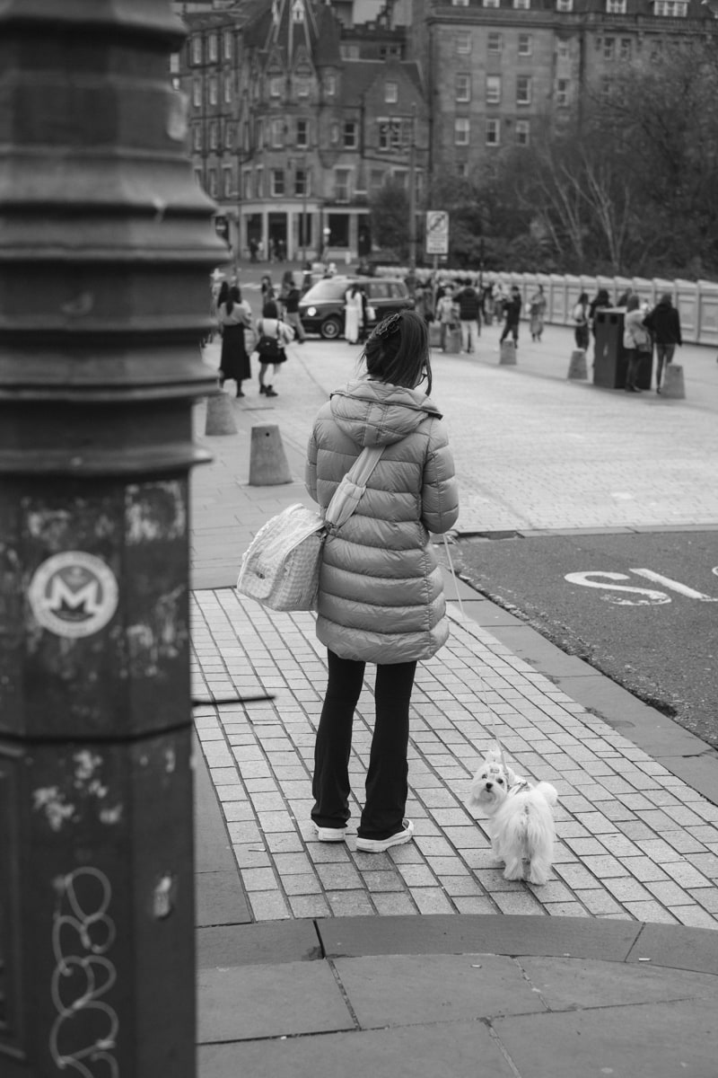 Street photo from November 2024