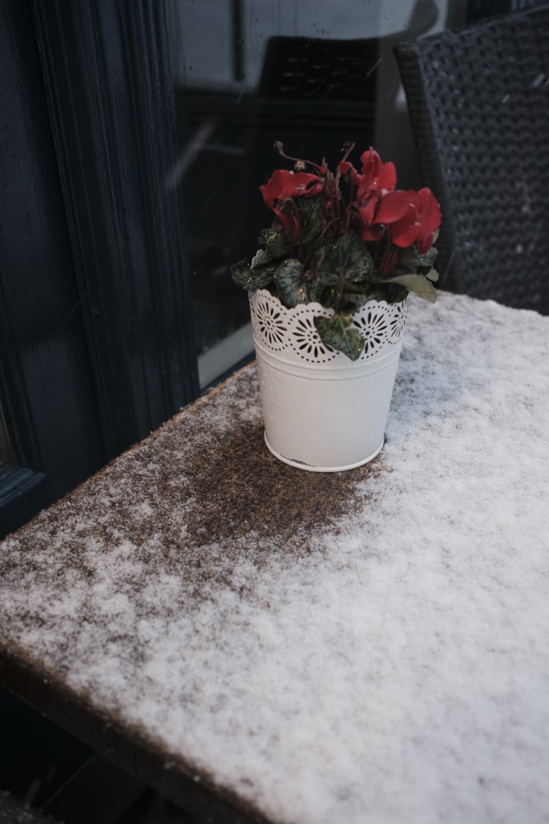 November street photo 13