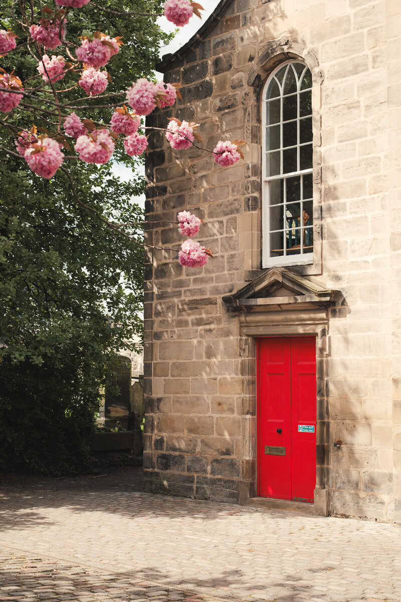 Edinburgh blossom photo 03