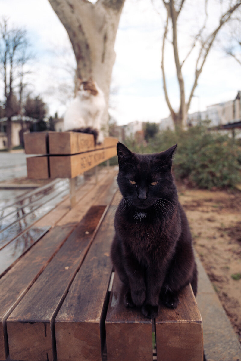 Istanbul street photo 02