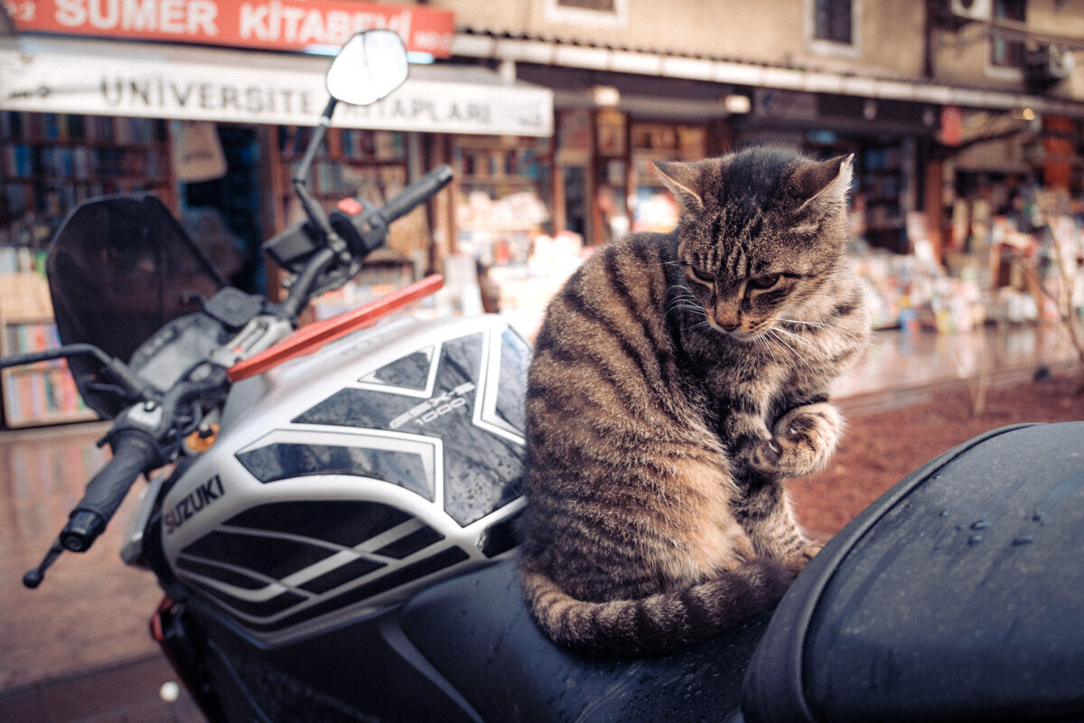 Istanbul street photo 05