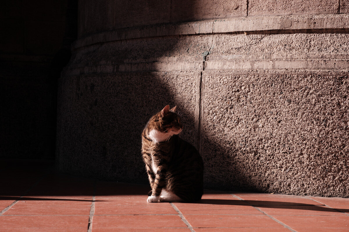 Istanbul street photo 15